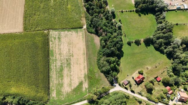 Działka inwestycyjna Dobranowice. Zdjęcie 7