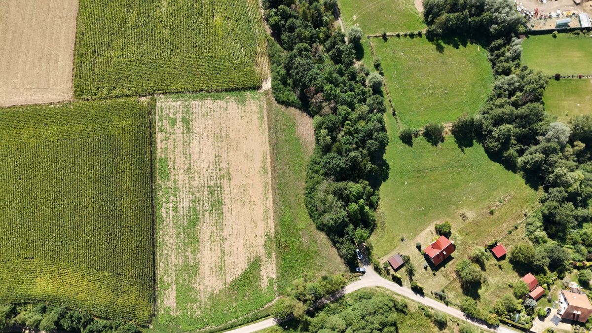Działka inwestycyjna Dobranowice. Zdjęcie 7