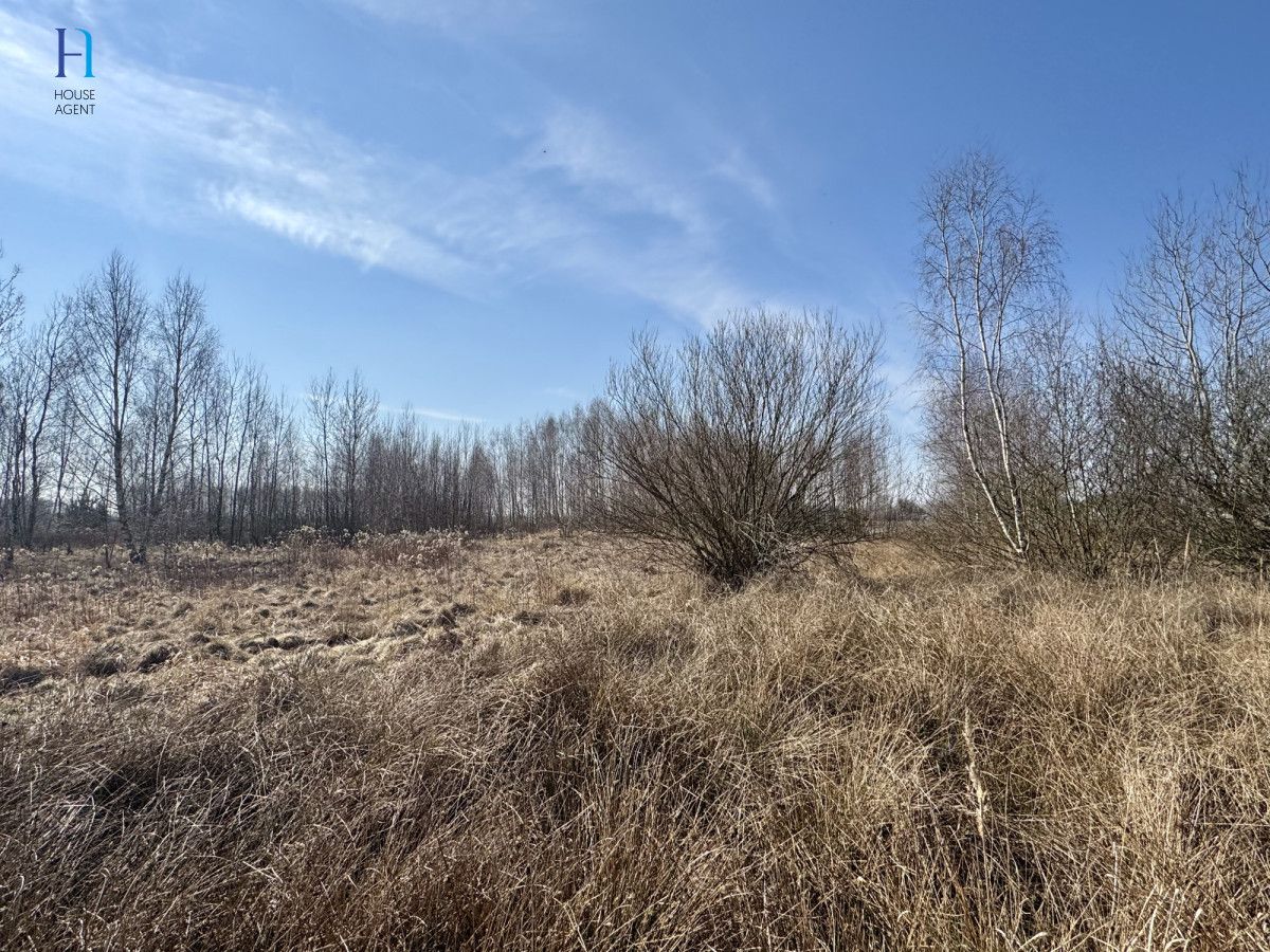 Działka inwestycyjna Nieborów, ul. Wschodnia. Zdjęcie 11