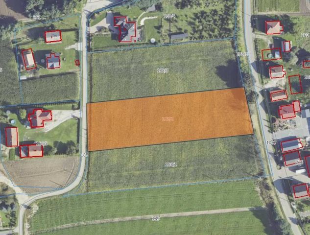 Działka rolno-budowlana Kazimierza Wielka. Zdjęcie 5