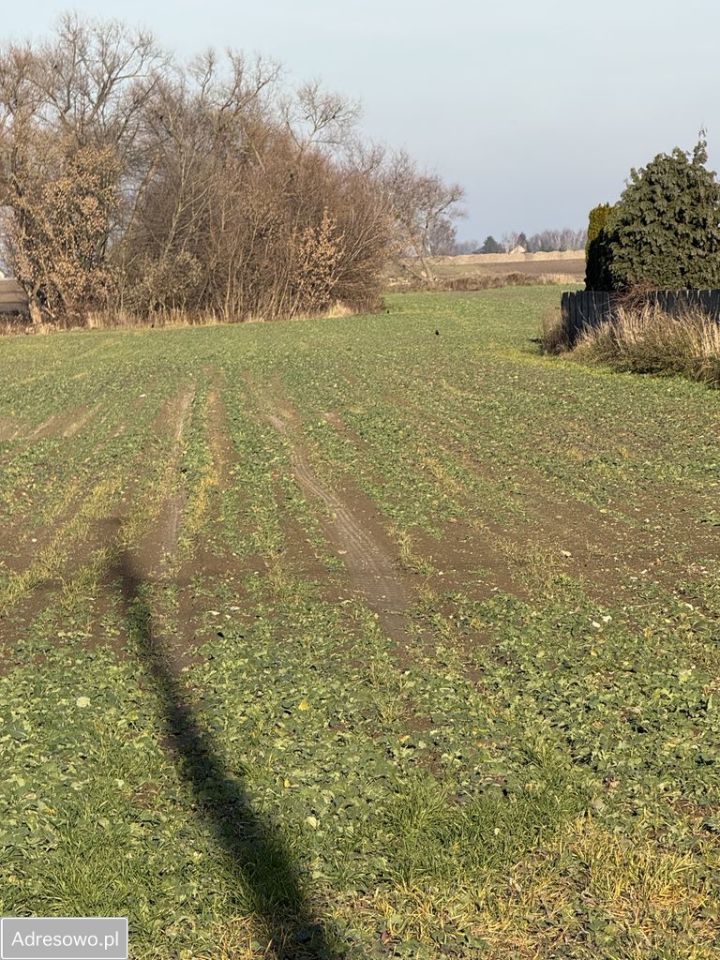 Działka budowlana Domaniewek, ul. Baśniowa. Zdjęcie 2
