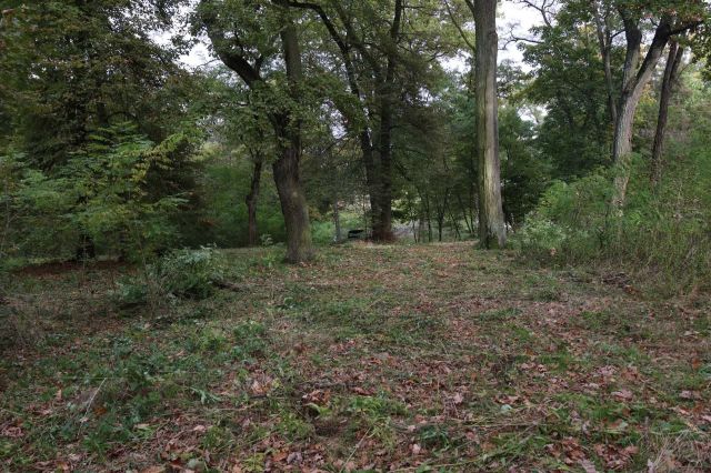 Działka leśna Warszawa Białołęka, ul. Łąkowa. Zdjęcie 1