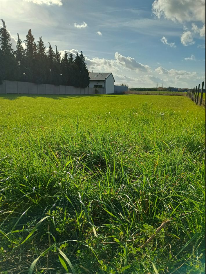 Działka budowlana Sieradz Woźniki, ul. Widawska
