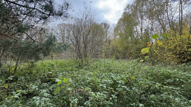 dom wolnostojący, 10 pokoi Czernica. Zdjęcie 2