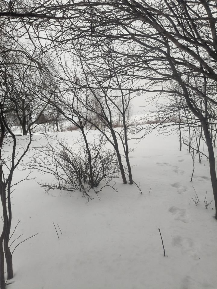 dom wolnostojący, 3 pokoje Skarlin. Zdjęcie 8