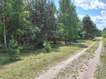 Działka siedliskowa Sieraków. Zdjęcie 3