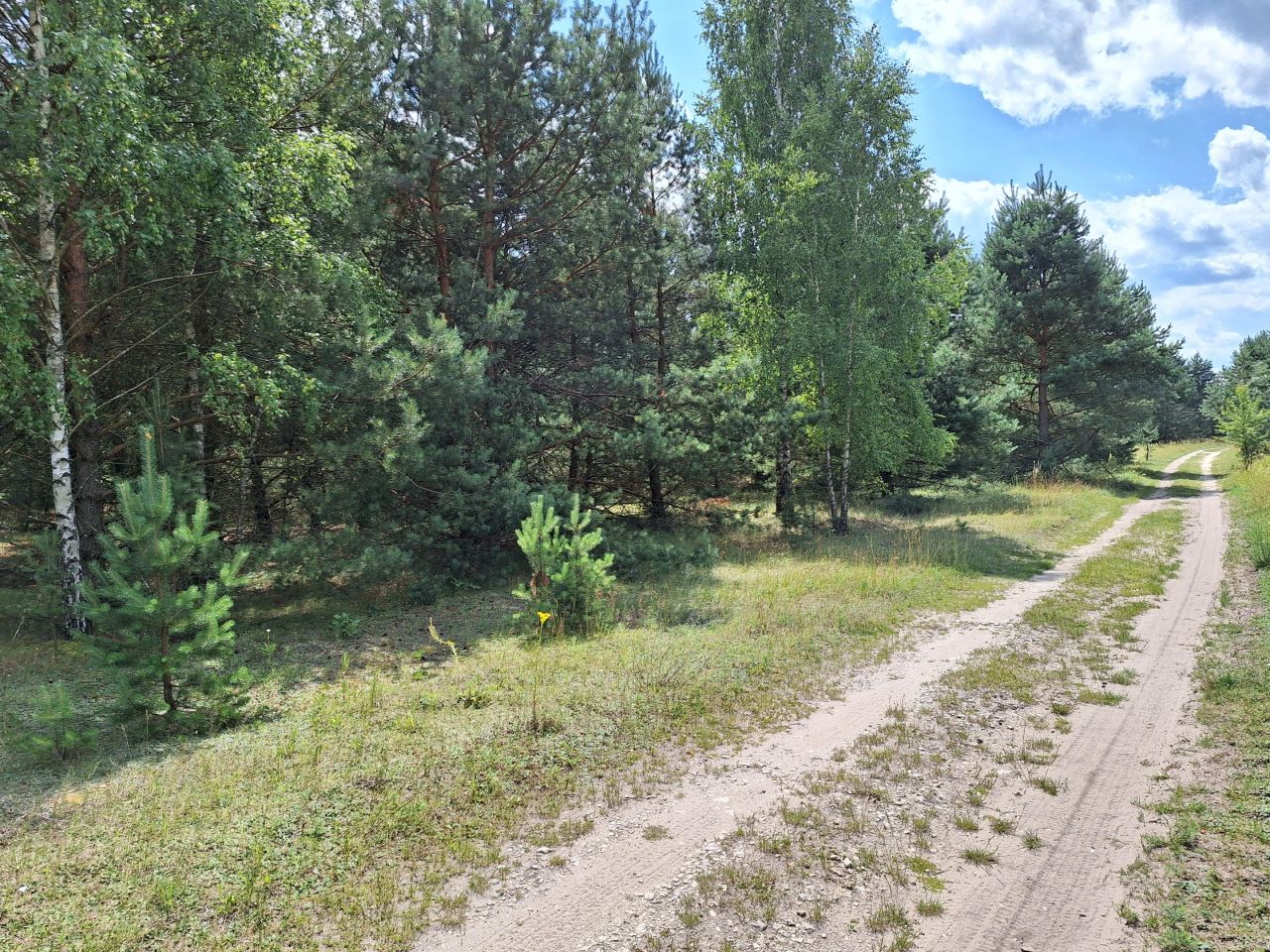 Działka siedliskowa Sieraków. Zdjęcie 4