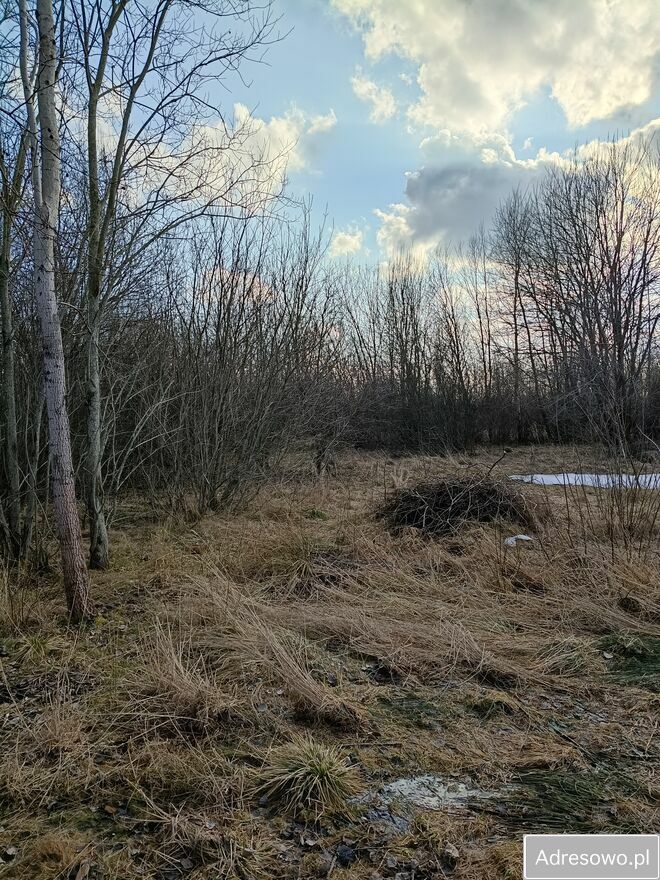 Działka rolna Modlinek. Zdjęcie 9