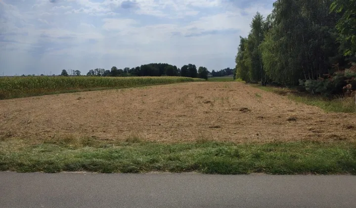 Działka rolno-budowlana Lichawa