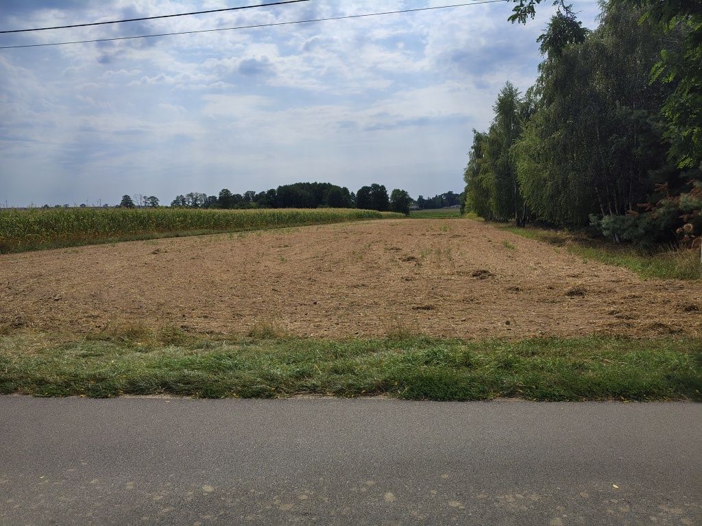 Działka rolno-budowlana Lichawa. Zdjęcie 1