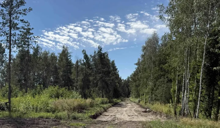 Działka budowlana Dosin, ul. Rumiankowa
