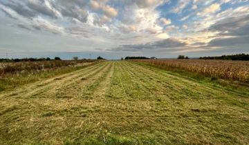 Działka rolno-budowlana Sandomierz Mokoszyn, ul. Panoramiczna