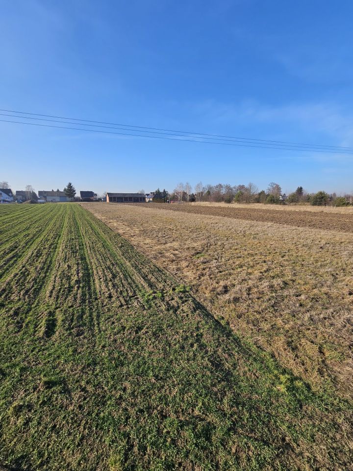 Działka budowlana Lisów. Zdjęcie 9