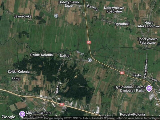 Działka budowlana Fasty, ul. Dzikowska. Zdjęcie 1