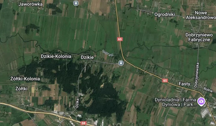 Działka budowlana Fasty, ul. Dzikowska