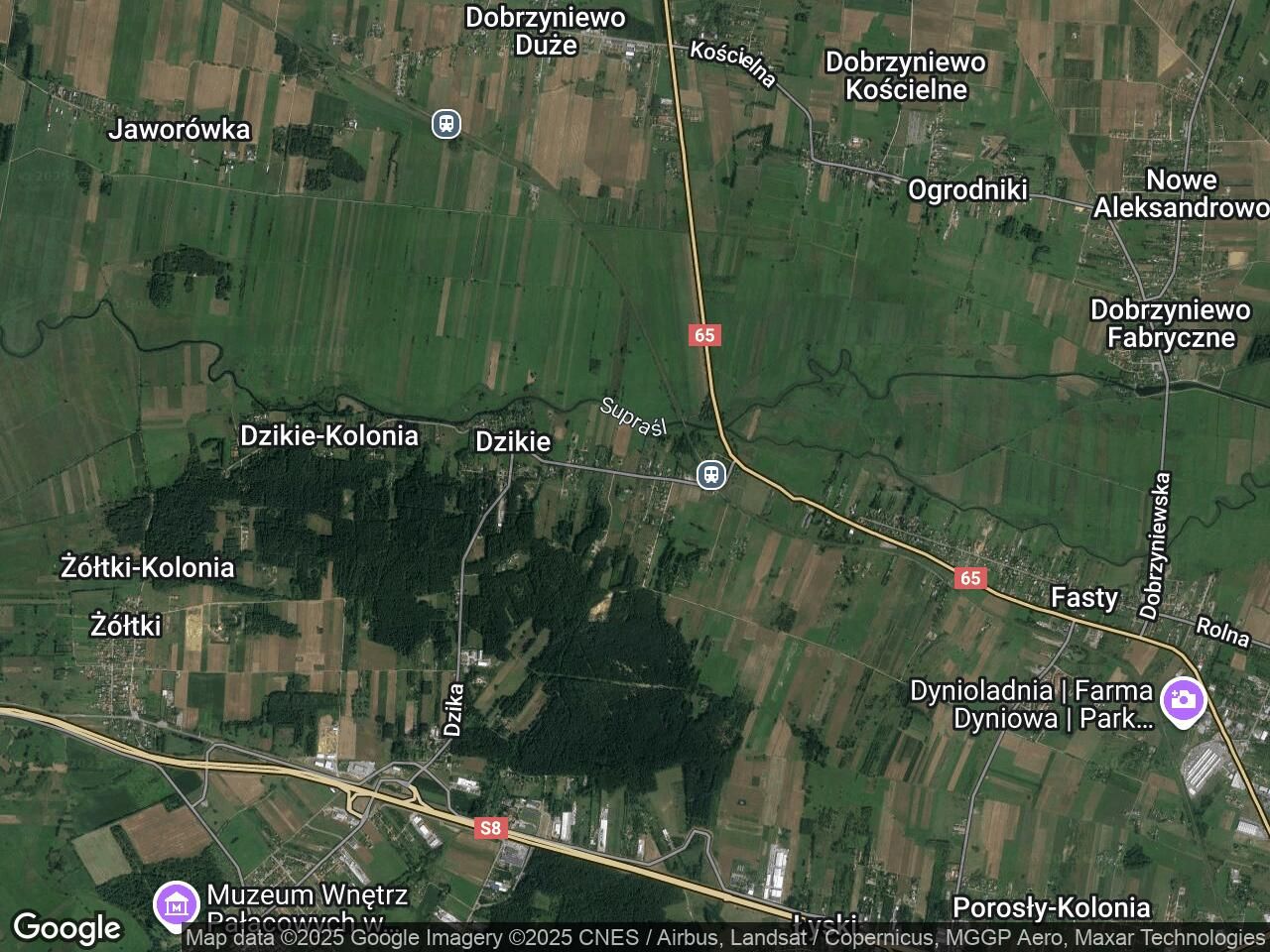 Działka budowlana Fasty, ul. Dzikowska