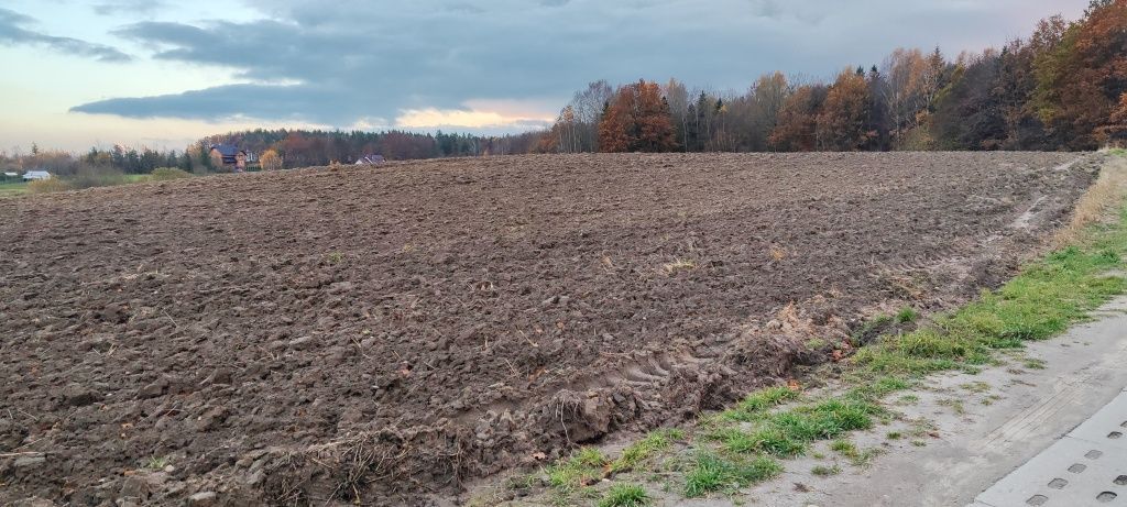Działka budowlana Kosowo. Zdjęcie 1