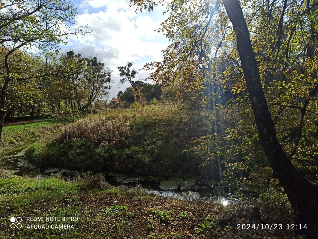 Działka rolna Asuny. Zdjęcie 5