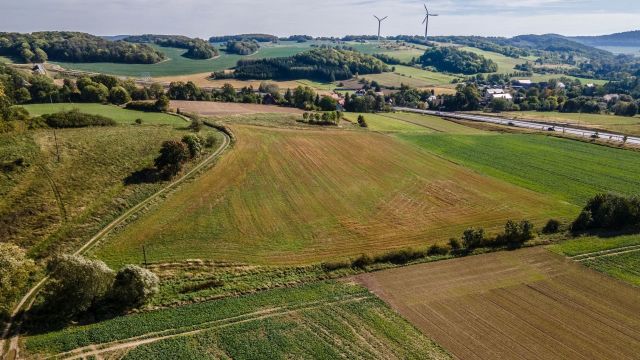 Działka inwestycyjna Wierzchosławice. Zdjęcie 9