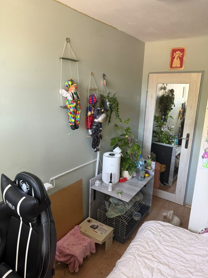 Mieszkanie 2-pokojowe Legnica Tarninów, ul. Adama Asnyka. Zdjęcie 10