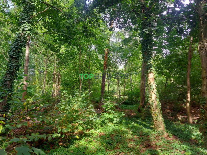 Działka budowlana Milanówek