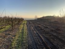 Działka budowlana Bronina, Widuchowska. Zdjęcie 3