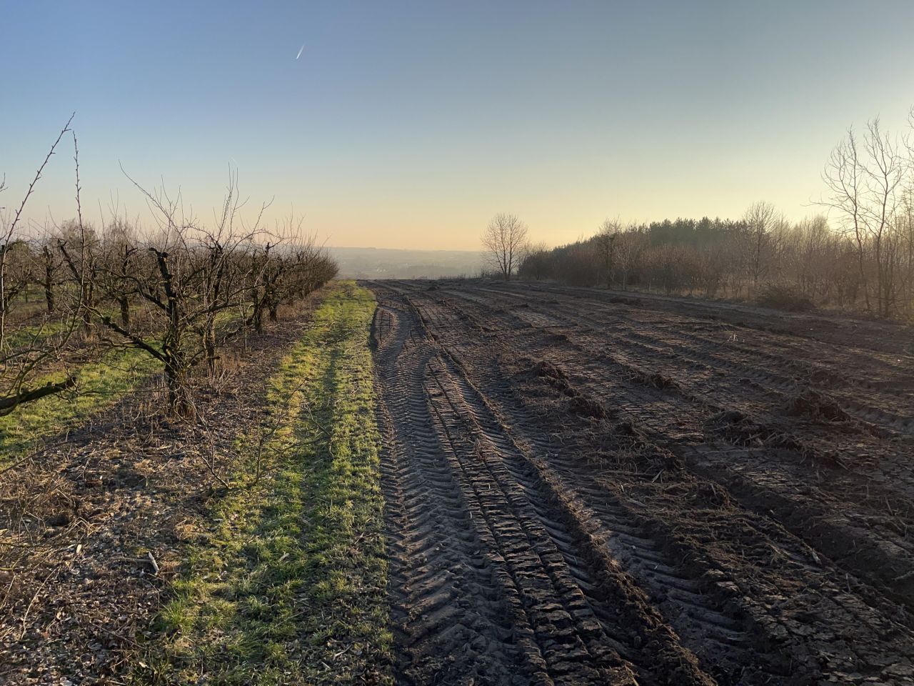 Działka budowlana Bronina, Widuchowska. Zdjęcie 4