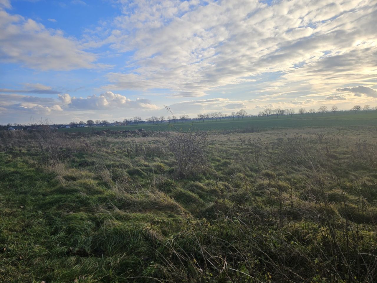 Działka rolna Snowidza. Zdjęcie 3