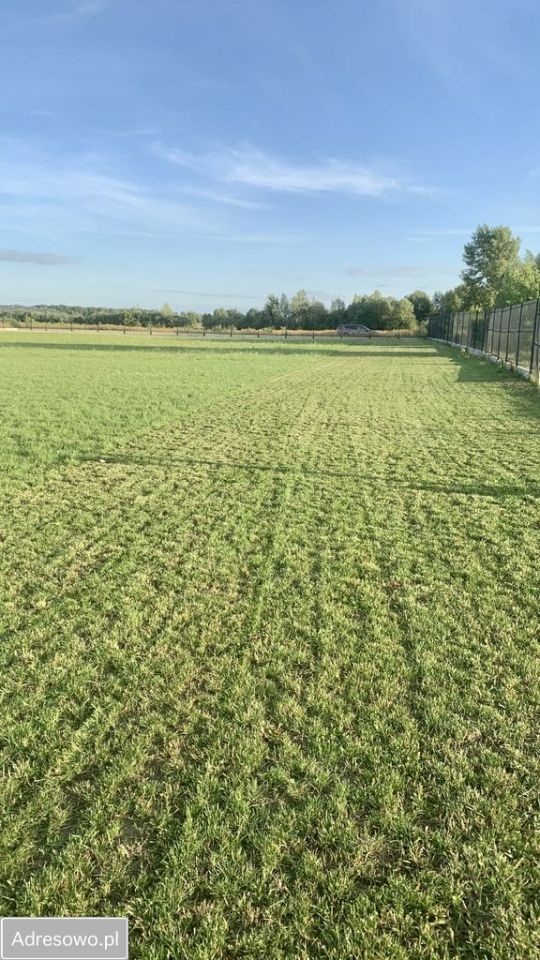 Działka siedliskowa Krzeptów, ul. Gajowa. Zdjęcie 5