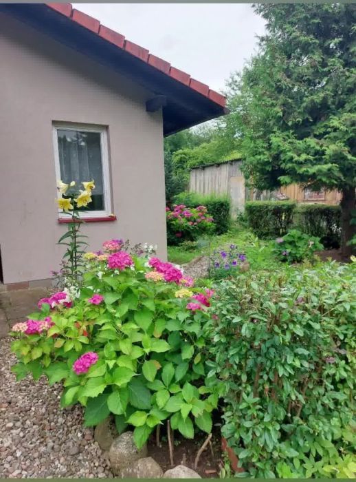 dom wolnostojący, 4 pokoje Gorzysław. Zdjęcie 5