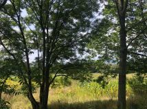 Działka budowlana Nasławice. Zdjęcie 2