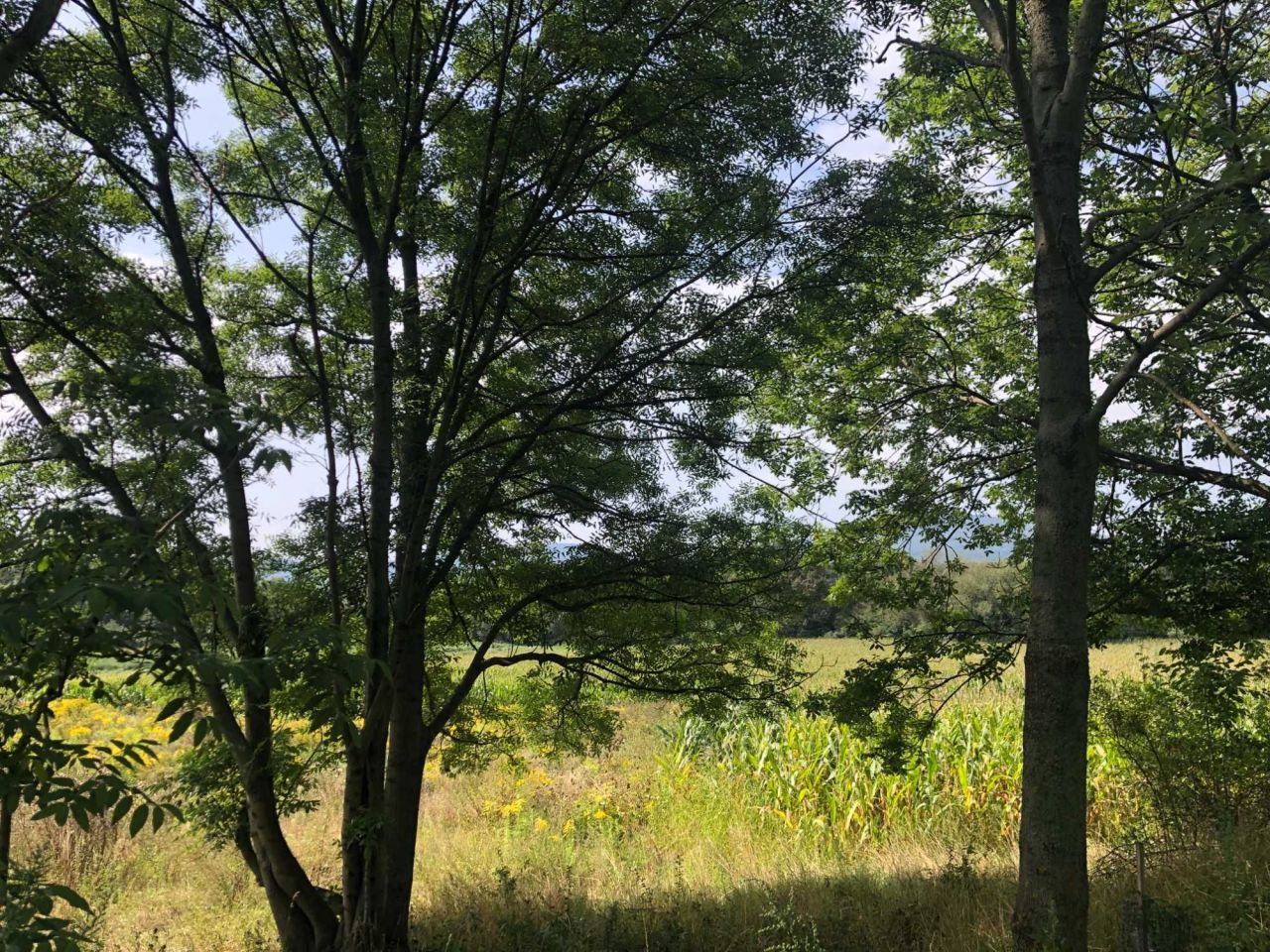 Działka budowlana Nasławice. Zdjęcie 3