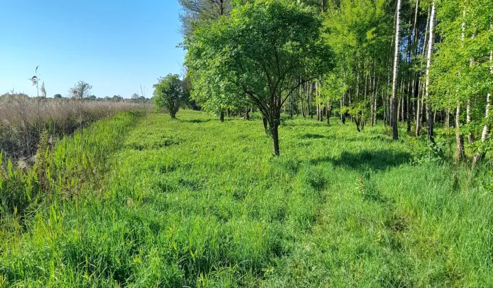 Działka inna Rzemień