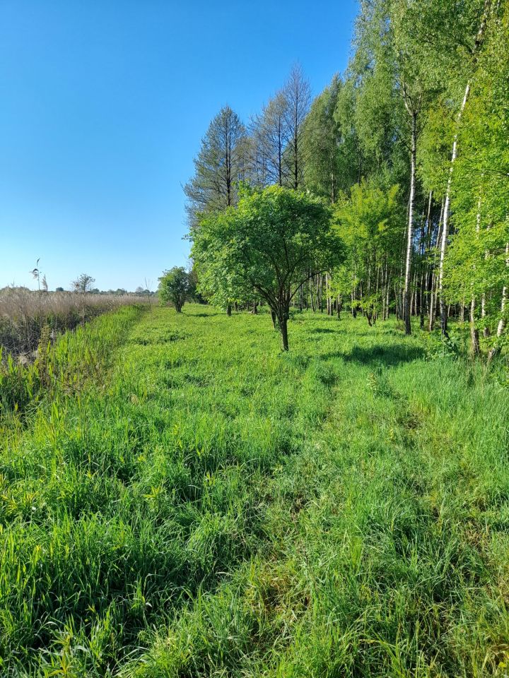 Działka inna Rzemień
