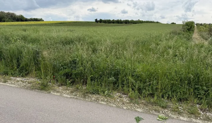 Działka rolno-budowlana Skrobaczów