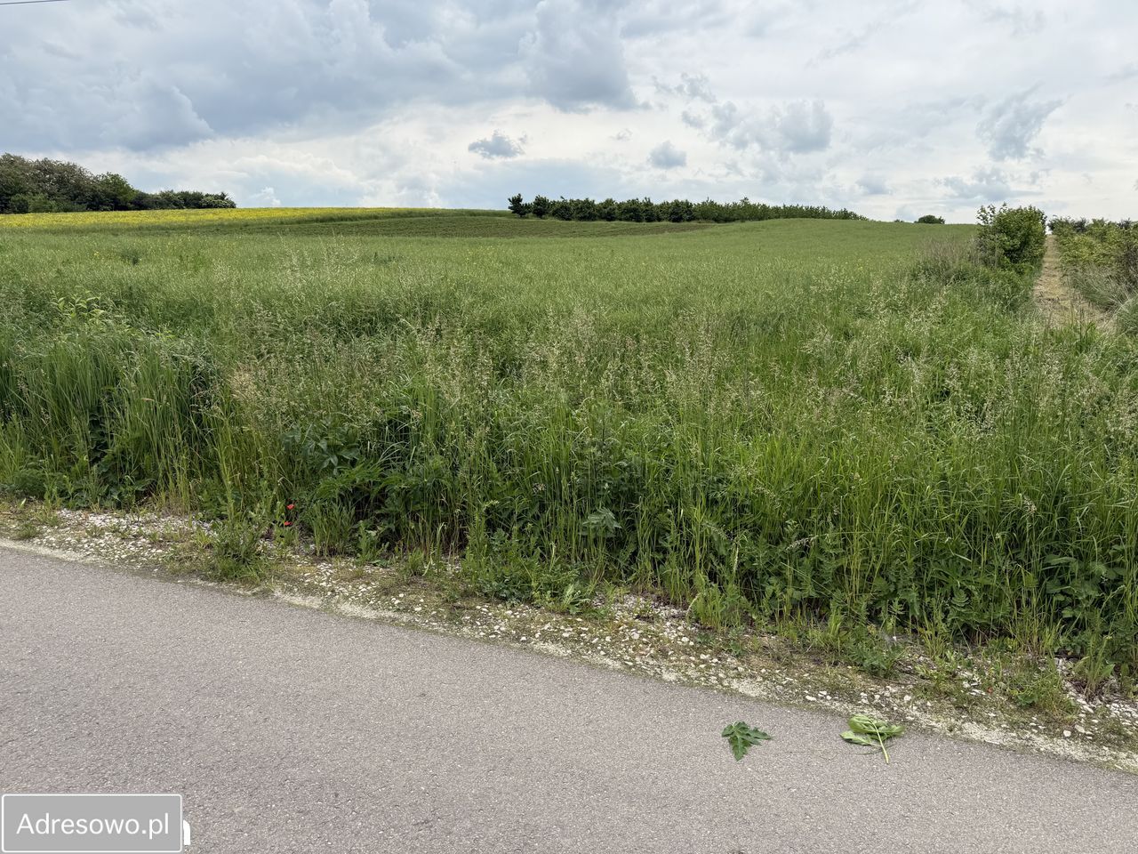 Działka rolno-budowlana Skrobaczów. Zdjęcie 1