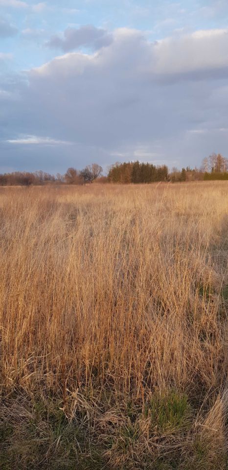 Działka budowlana Pieszków. Zdjęcie 2