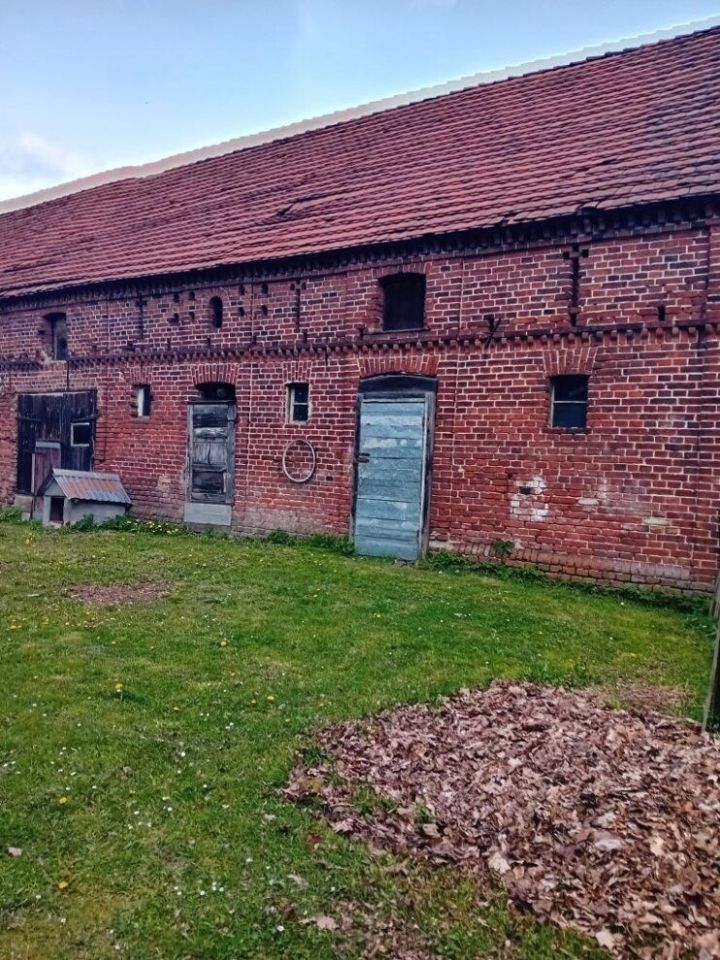 gospodarstwo Międzylesie. Zdjęcie 2