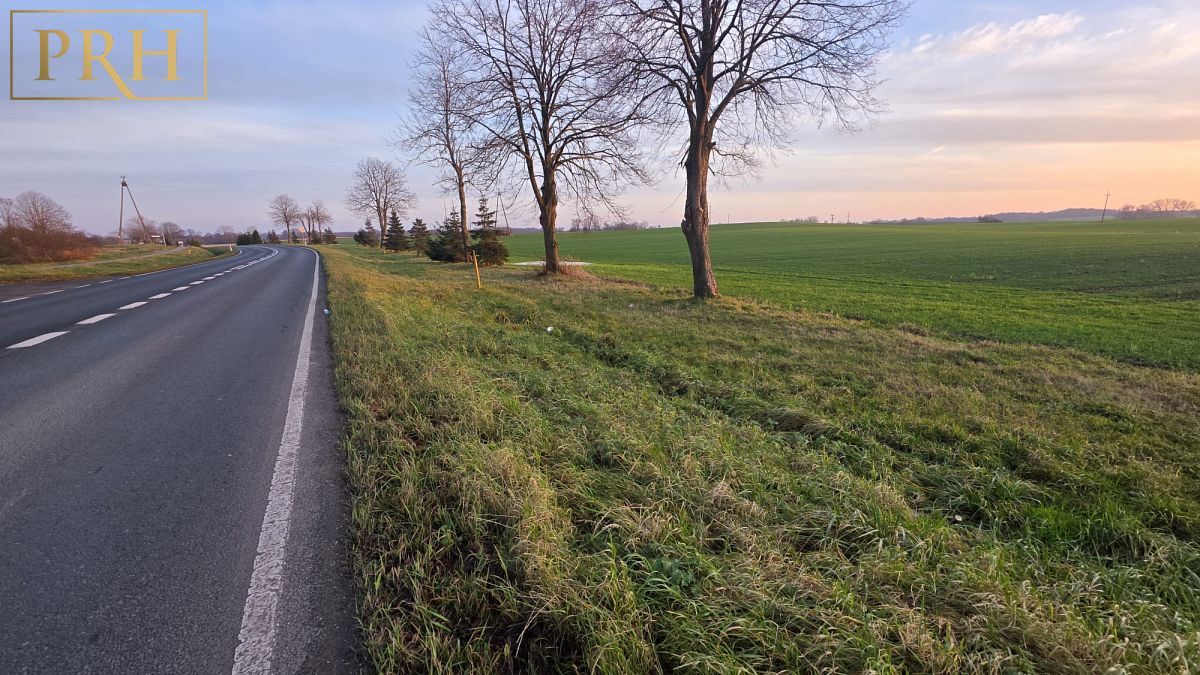 Działka Będzino. Zdjęcie 12