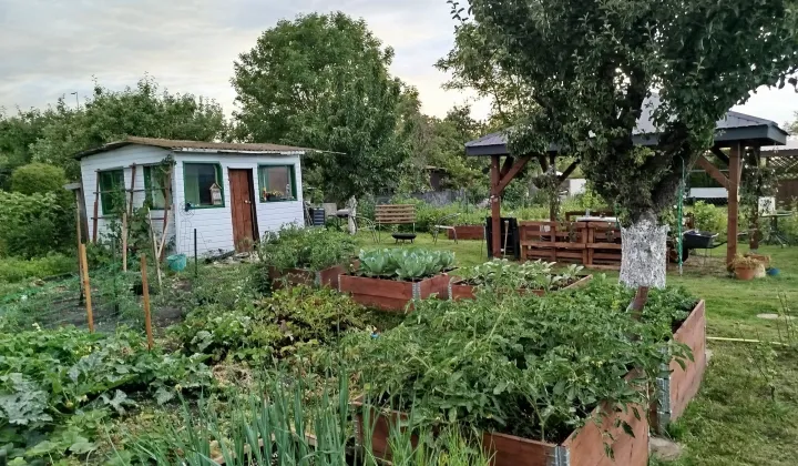 Działka rod Biała Podlaska