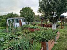 Działka rod Biała Podlaska