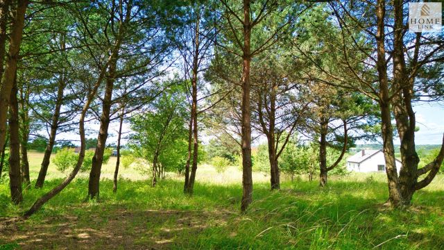 Działka budowlana Giedajty, ul. Sokola. Zdjęcie 19
