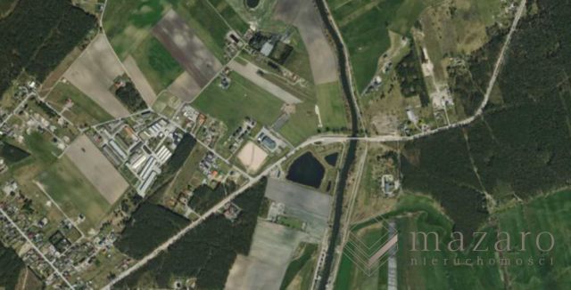 Działka rolna Nowe Dąbie. Zdjęcie 6