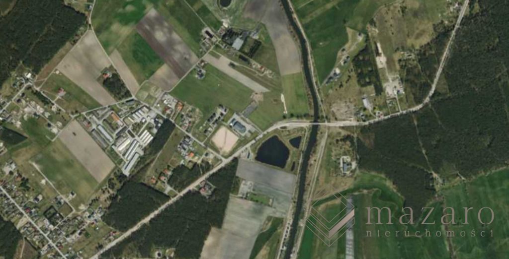 Działka rolna Nowe Dąbie. Zdjęcie 6