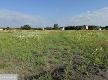 Działka budowlana Małopole