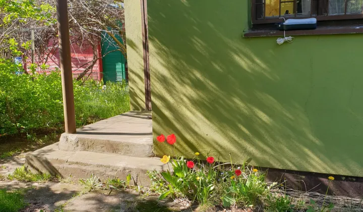 Działka rod Łódź Bałuty, ul. Działkowa