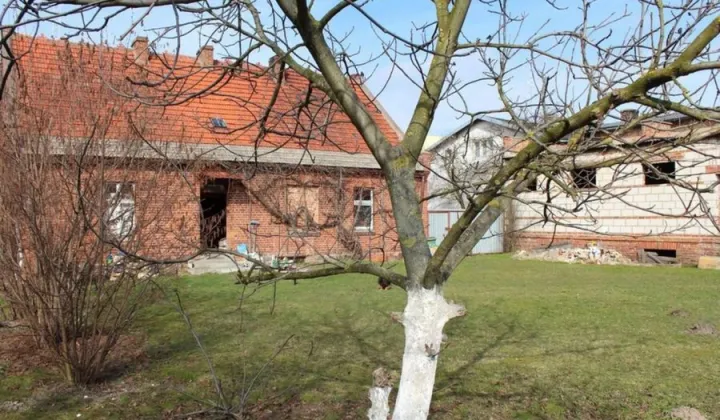 dom wolnostojący, 10 pokoi Lubiewo