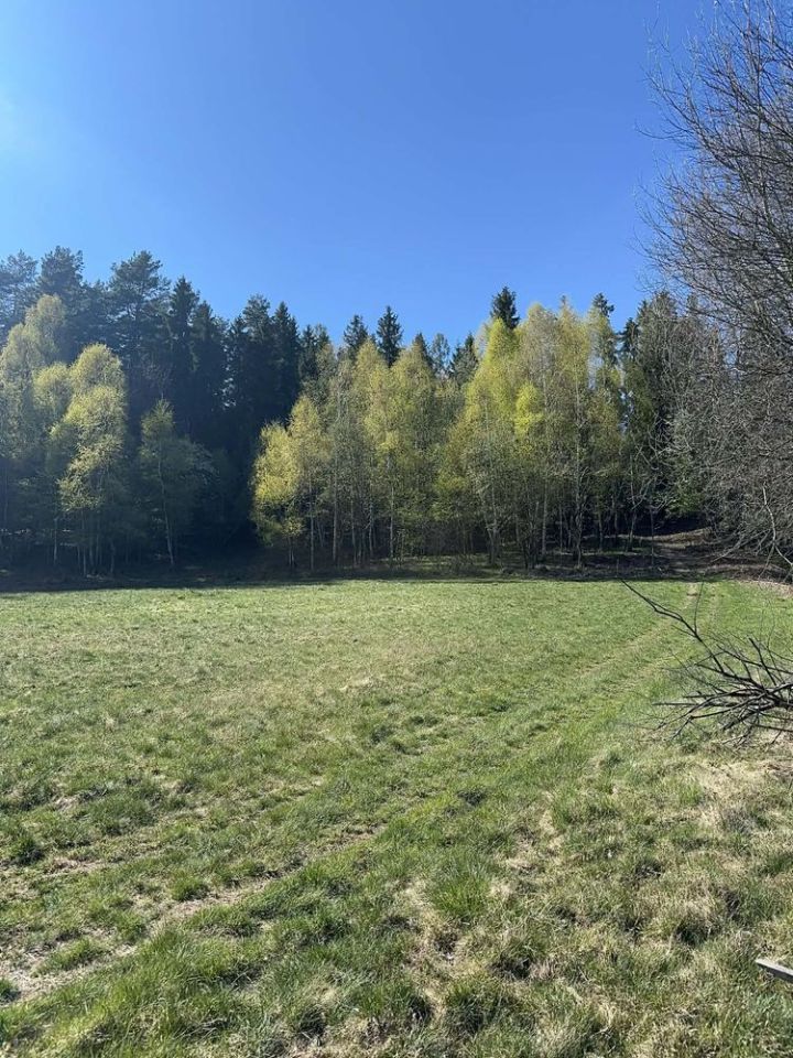 Działka rolno-budowlana Krzeszów. Zdjęcie 2