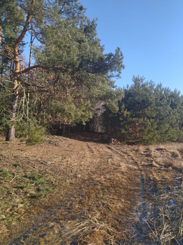 Działka rolna Radom. Zdjęcie 2