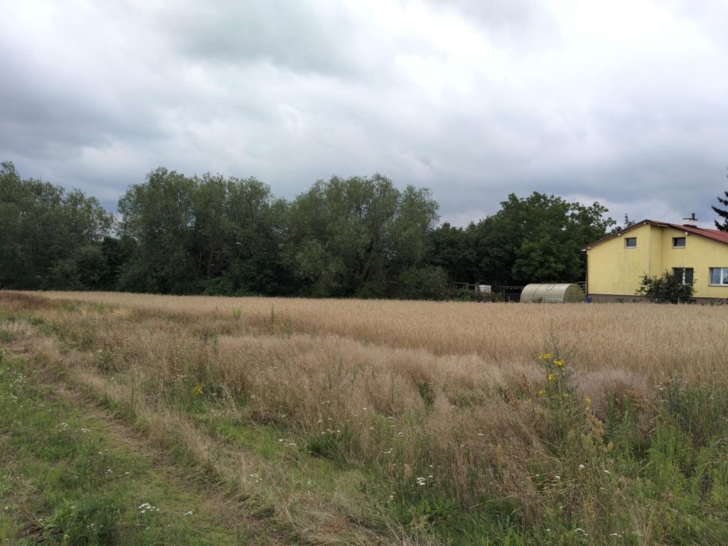 Działka budowlana Łubianka, ul. Jodłowa. Zdjęcie 3